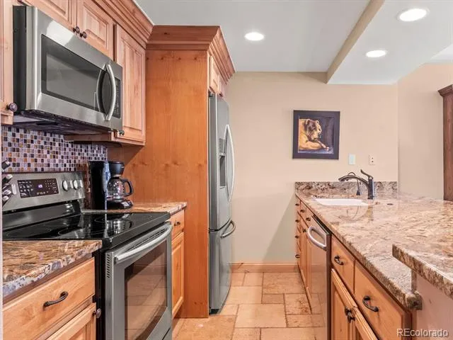 22097 Saints John Road #2540 Dillon, CO 80435