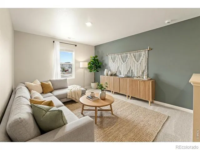 6427 Coralbell Street Wellington, CO 80549