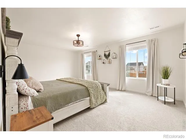 6427 Coralbell Street Wellington, CO 80549