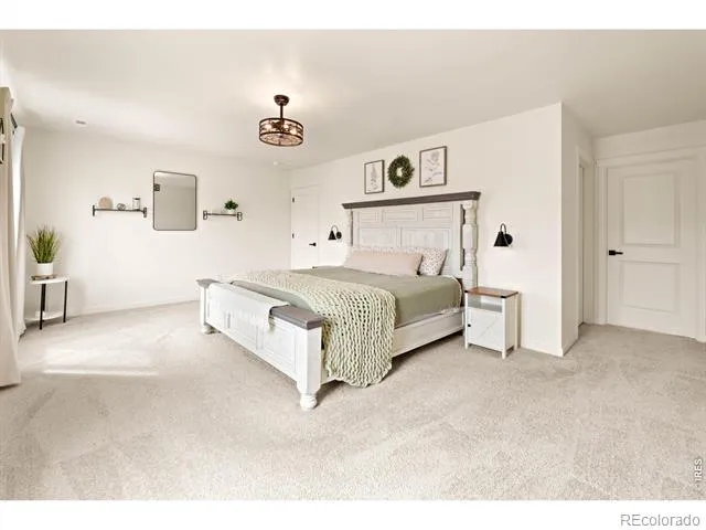 6427 Coralbell Street Wellington, CO 80549