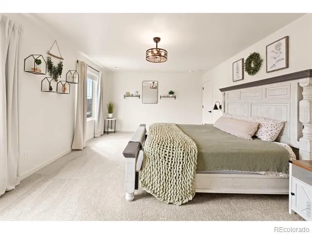 6427 Coralbell Street Wellington, CO 80549