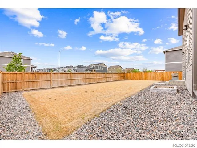 6427 Coralbell Street Wellington, CO 80549