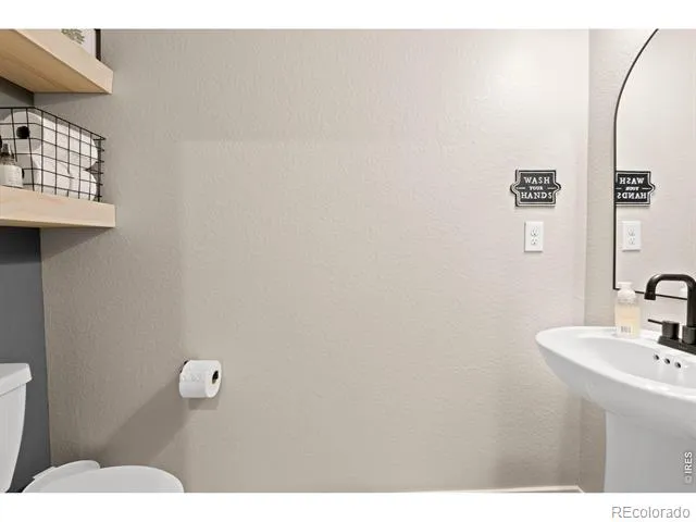 6427 Coralbell Street Wellington, CO 80549