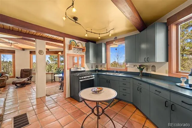 174 Needle Creek Road Divide, CO 80814