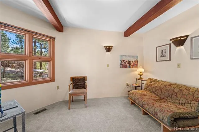 174 Needle Creek Road Divide, CO 80814