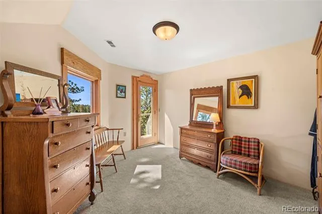 174 Needle Creek Road Divide, CO 80814