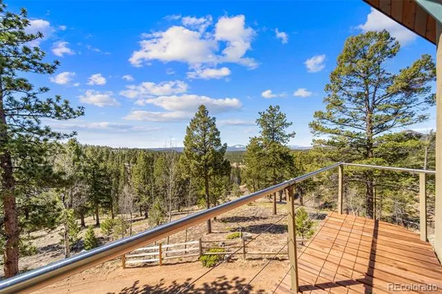174 Needle Creek Road Divide, CO 80814