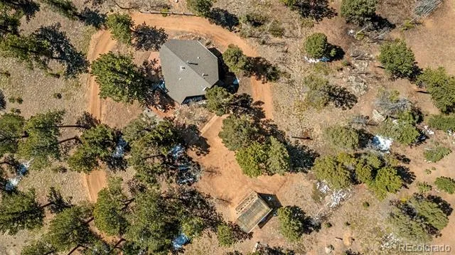 174 Needle Creek Road Divide, CO 80814