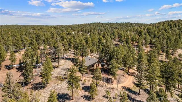 174 Needle Creek Road Divide, CO 80814