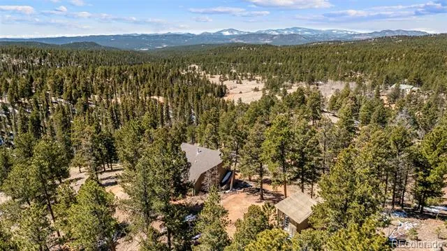 174 Needle Creek Road Divide, CO 80814
