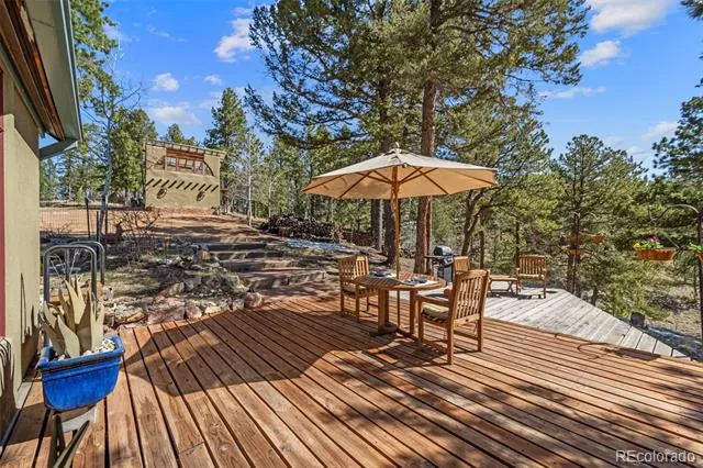 174 Needle Creek Road Divide, CO 80814