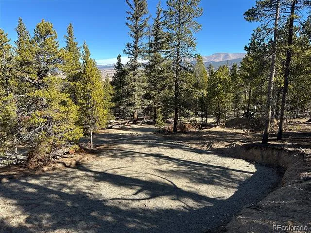 48 Lodgepole Drive Leadville, CO 80461