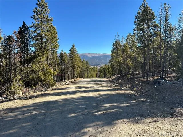 48 Lodgepole Drive Leadville, CO 80461