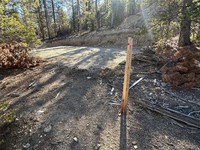 48 Lodgepole Drive Leadville, CO 80461
