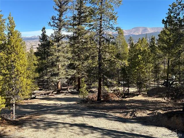 48 Lodgepole Drive Leadville, CO 80461