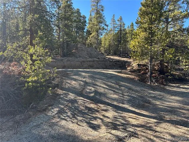 48 Lodgepole Drive Leadville, CO 80461