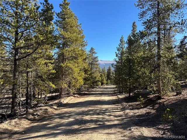 48 Lodgepole Drive Leadville, CO 80461
