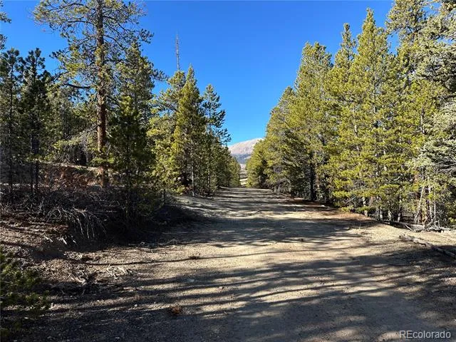 48 Lodgepole Drive Leadville, CO 80461