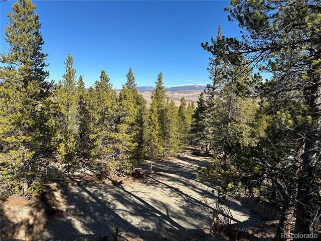 48 Lodgepole Drive Leadville, CO 80461