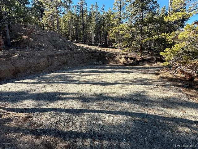 48 Lodgepole Drive Leadville, CO 80461