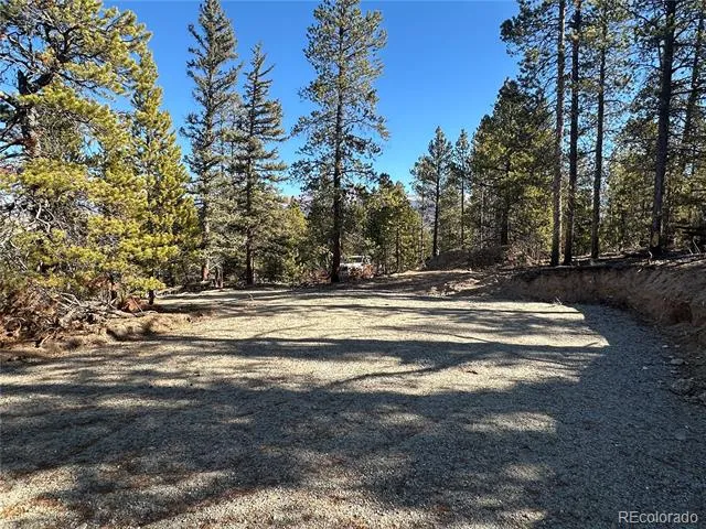 48 Lodgepole Drive Leadville, CO 80461