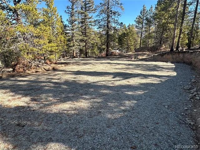 48 Lodgepole Drive Leadville, CO 80461