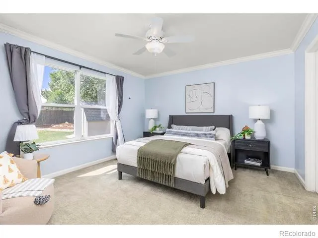 3703 Partridge Court Evans, CO 80620