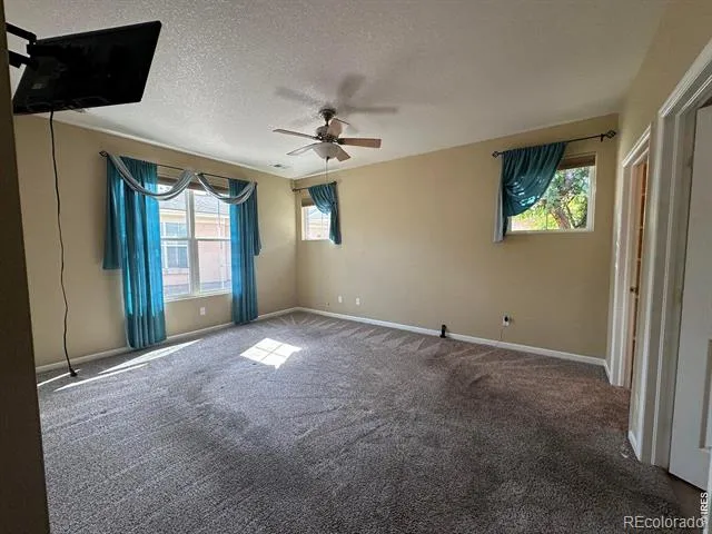 1238 Finch Street Loveland, CO 80537
