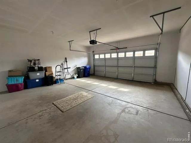 1238 Finch Street Loveland, CO 80537