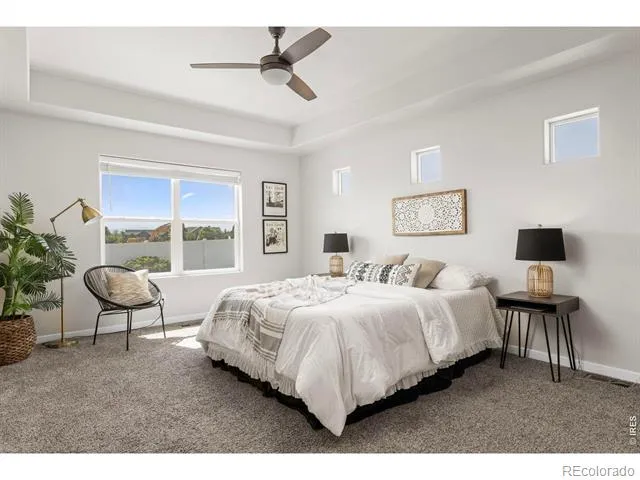 4908 Romney Lock Drive Windsor, CO 80550