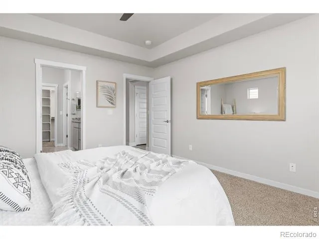 4908 Romney Lock Drive Windsor, CO 80550