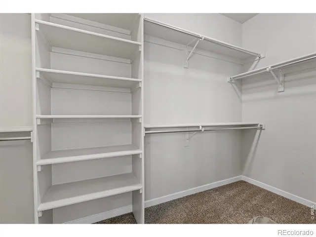 4908 Romney Lock Drive Windsor, CO 80550