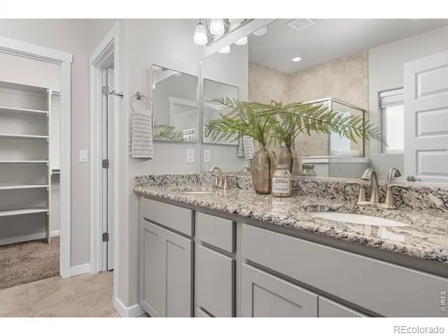 4908 Romney Lock Drive Windsor, CO 80550