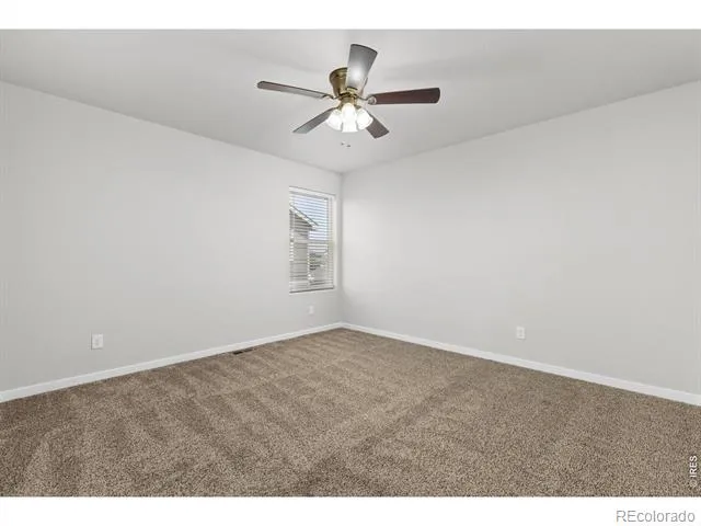 4908 Romney Lock Drive Windsor, CO 80550