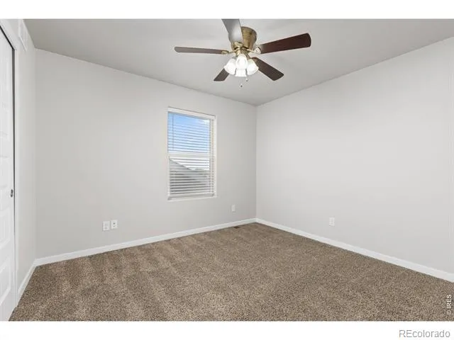 4908 Romney Lock Drive Windsor, CO 80550