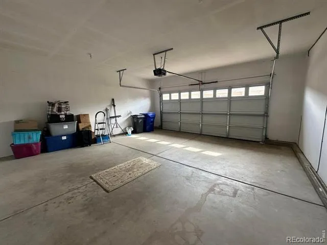 1238 Finch Street Loveland, CO 80537