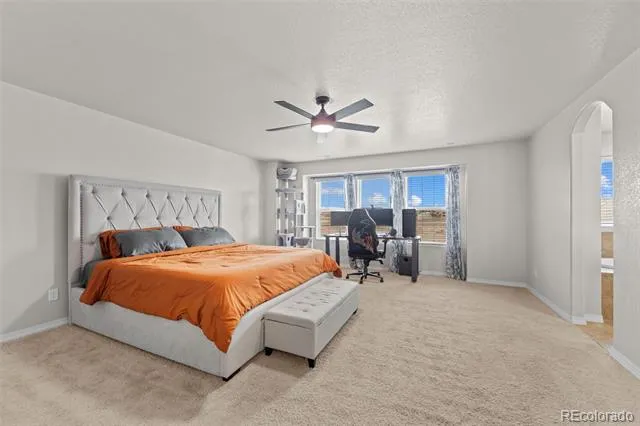 8964 Vanderwood Road Colorado Springs, CO 80908