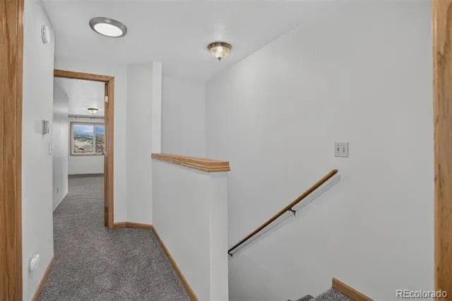 716 E Anemone Trail #K Dillon, CO 80435
