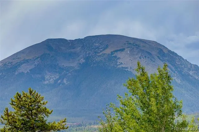 716 E Anemone Trail #K Dillon, CO 80435