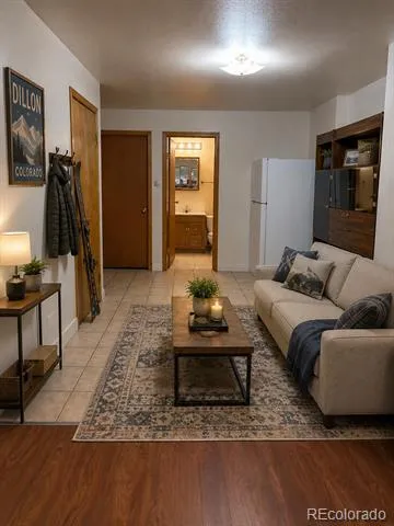 716 E Anemone Trail #K Dillon, CO 80435