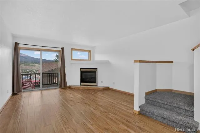 716 E Anemone Trail #K Dillon, CO 80435