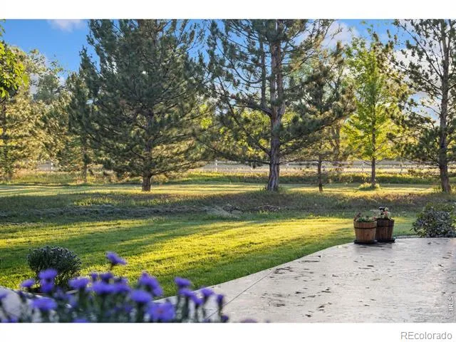 3165 Stargazer Court Fort Collins, CO 80521