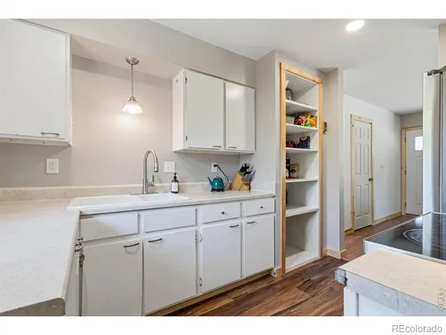3738 Tyler Avenue Wellington, CO 80549