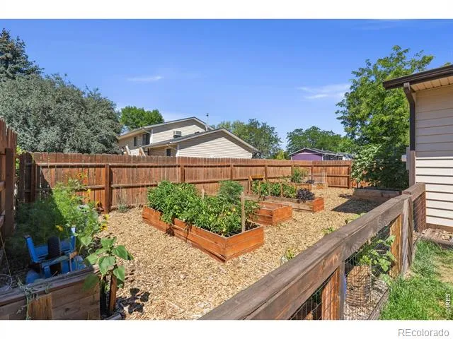 3738 Tyler Avenue Wellington, CO 80549