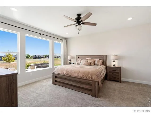 9251 Meadow Farms Drive Milliken, CO 80543
