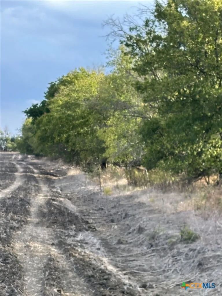 Cr 451 Lott, TX 76656