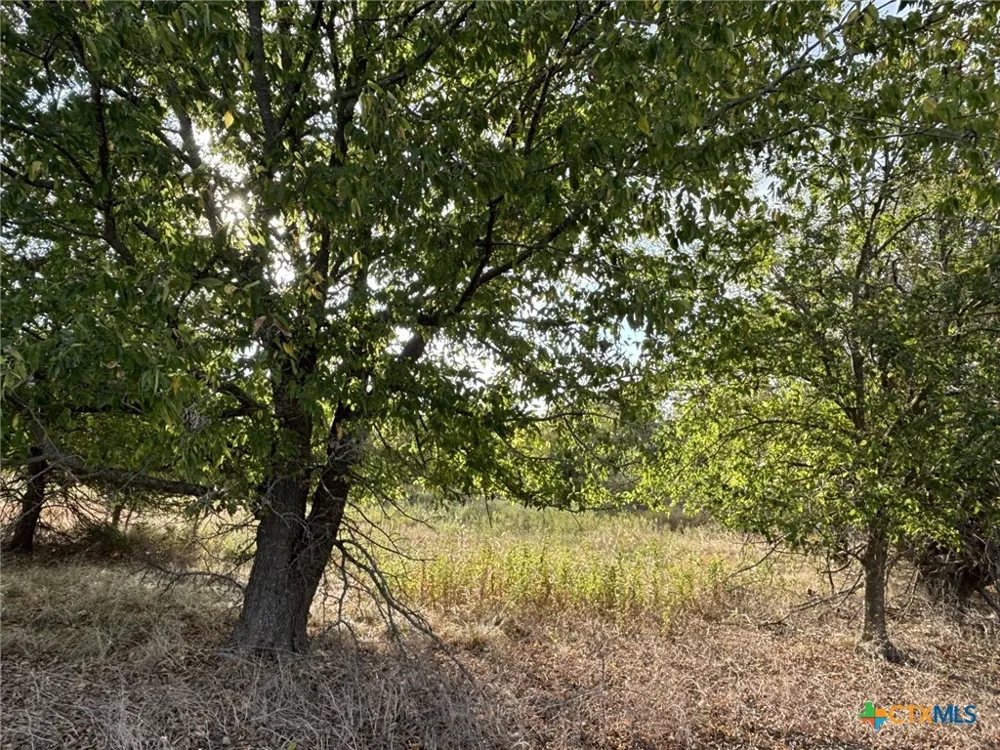 Cr 451 Lott, TX 76656