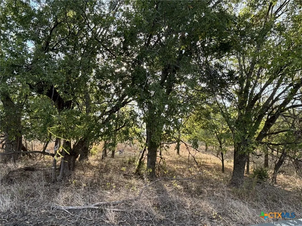 Cr 451 Lott, TX 76656