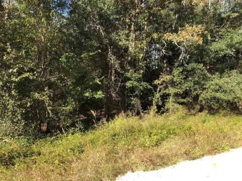 Evans Avenue
