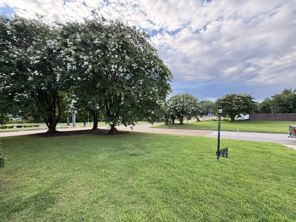 452 Walnut St Jackson, TN 38301